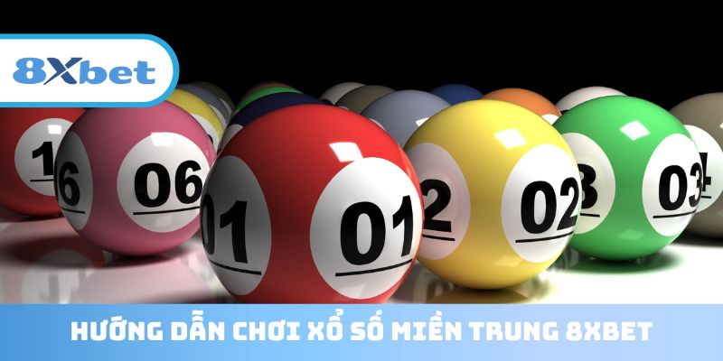 Hướng dẫn người mới tham gia cá cược XSMT tại 8XBET